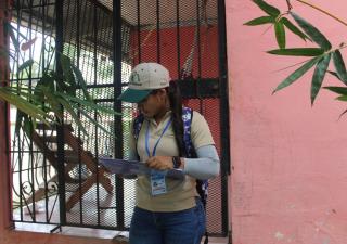 Minsa pide a Veraguenses eliminar criaderos de mosquito 