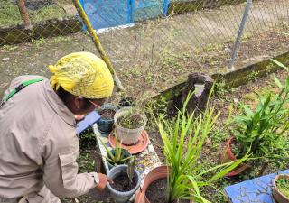 Acciones comunitarias fortalecen estrategias para evitar el dengue 