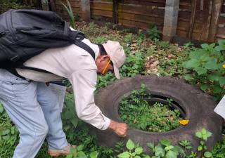 Minsa reitera a la población medidas de prevención para reducir criaderos de mosquitos