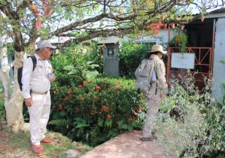 Minsa brinda recomendaciones para prevenir casos de Hantavirus en Veraguas