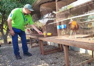 Intensifican acciones de prevención contra el dengue en Chitré previo al carnaval