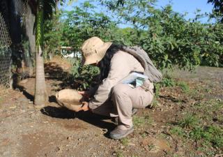Reiteran a la población principales medidas para evitar del dengue
