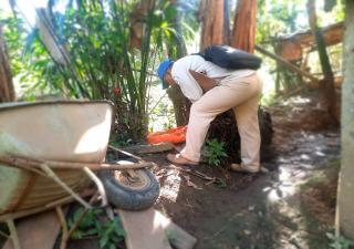 Control de Vectores refuerza acciones contra el dengue en Bocas del Toro