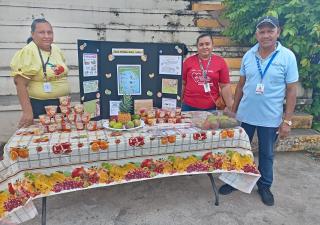 Veraguas celebra el Día Regional de la Fruta con actividades educativas y  promoción de la salud