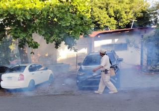 Minsa solicita a la población eliminar los criaderos de mosquitos