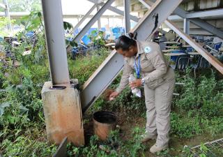 Reiteran a la población redoblar medidas para prevenir el dengue y otras enfermedades