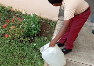 Caza mosquitos se activan en San Miguelito contra el dengue