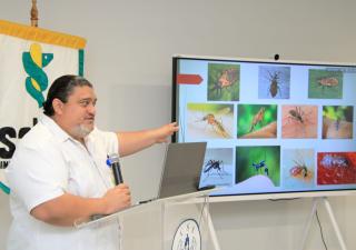 Cruzada Nacional contra el Dengue: reiteran la eliminación masiva de criaderos en comunidades