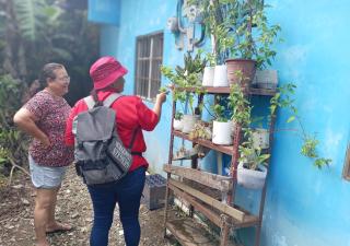 Eliminación de criaderos, medida efectiva para evitar el dengue