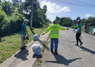 En la Región Metropolitana se refuerza la campaña para eliminación de los criaderos de mosquitos 