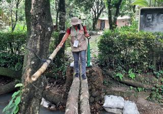 Avanza con éxito encuesta de tabaco en Coclé