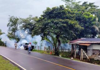 Minsa intensifica acciones para prevenir el dengue en Chiriquí
