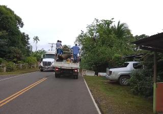 Minsa refuerza acciones para prevenir el dengue en el área sur del distrito de Soná 