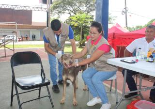 Región de Salud de Veraguas realiza jornada de vacunación para mascotas en Canto del Llano