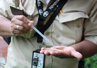 Minsa refuerza acciones contra el dengue en la provincia de Veraguas