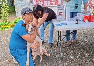 Jornada de vacunación antirrábica y cuidado animal en Panamá Este
