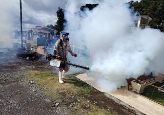 Ministerio de Salud reporta incremento de casos de dengue en Chiriquí