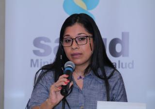 Minsa reitera llamado a fortalecer medidas para prevenir el dengue en el país