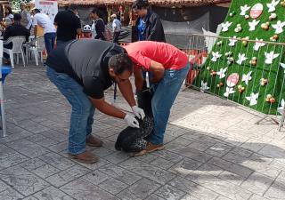 Feria de Salud “Vive tu Verano Seguro y Saludable” llega a Chiriquí