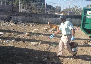 Salud refuerza acciones de control de roedores en Belisario Frías