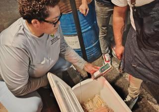  Operativos sanitarios detectan alimentos vencidos durante mojadera nocturna en Chitré 