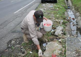 Salud refuerza acciones contra el dengue en San Miguelito