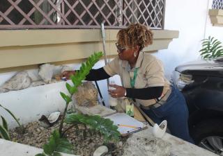 Salud realiza jornada de fumigación y desratización en el  Sector del Bosque 