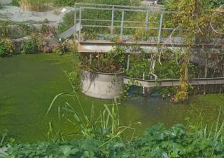 Minsa interviene planta de tratamiento abandonada en Villa Lucre