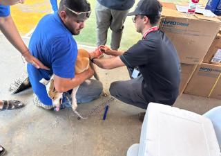 MINSA participa en jornada de esterilización de mascotas junto al Despacho de la Primera Dama