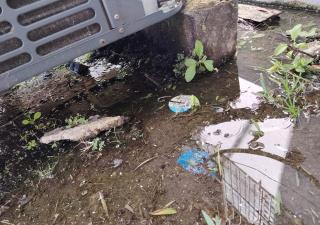 Región de Salud de Chiriquí continúa su lucha contra el dengue