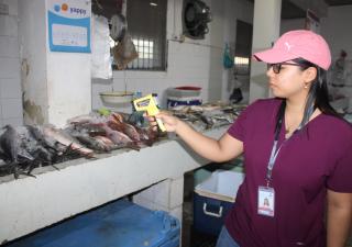  Ministerio de Salud realiza operativo de verificación en el Mercado Público de Santiago