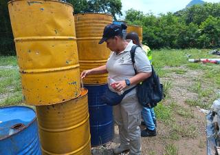 Minsa refuerza operativo de control de vectores en El Chorrillo