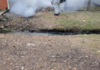 Centro de Salud de Veracruz fortalece acciones de prevención del dengue y supervisión sanitaria  