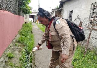 Veraguas ejecuta movilización nacional para la eliminación de criaderos de mosquito  