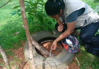 Continúan en Veraguas las acciones para prevenir el dengue y eliminar criaderos de mosquitos. 