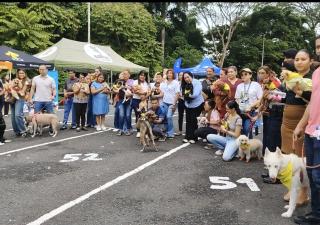 Minsa destaca beneficios de las mascotas para la salud y llama a fortalecer la tenencia responsable