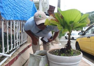 Minsa fortalece acciones de prevención ante el comportamiento del dengue y virus respiratorios