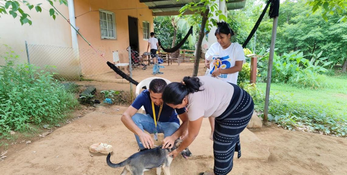 zoonosis en Herrera