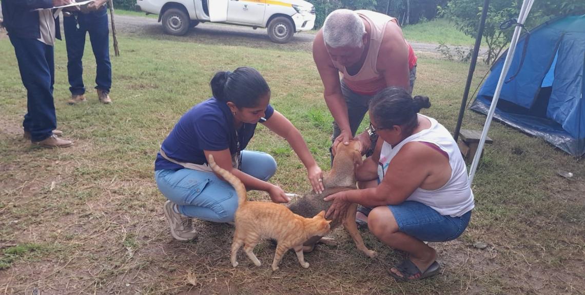 zoonosis en Herrera