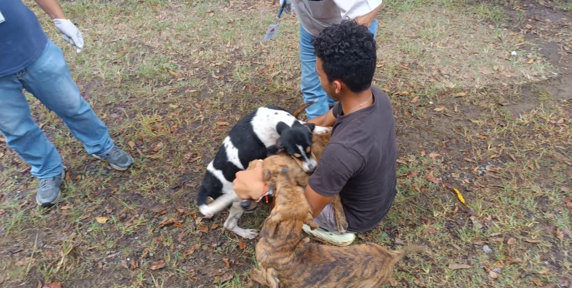 atención veterinaria en albergues en Los Santos