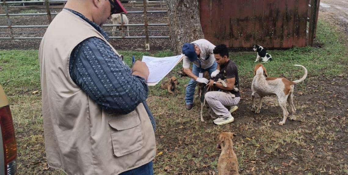 atención veterinaria en albergues en Los Santos