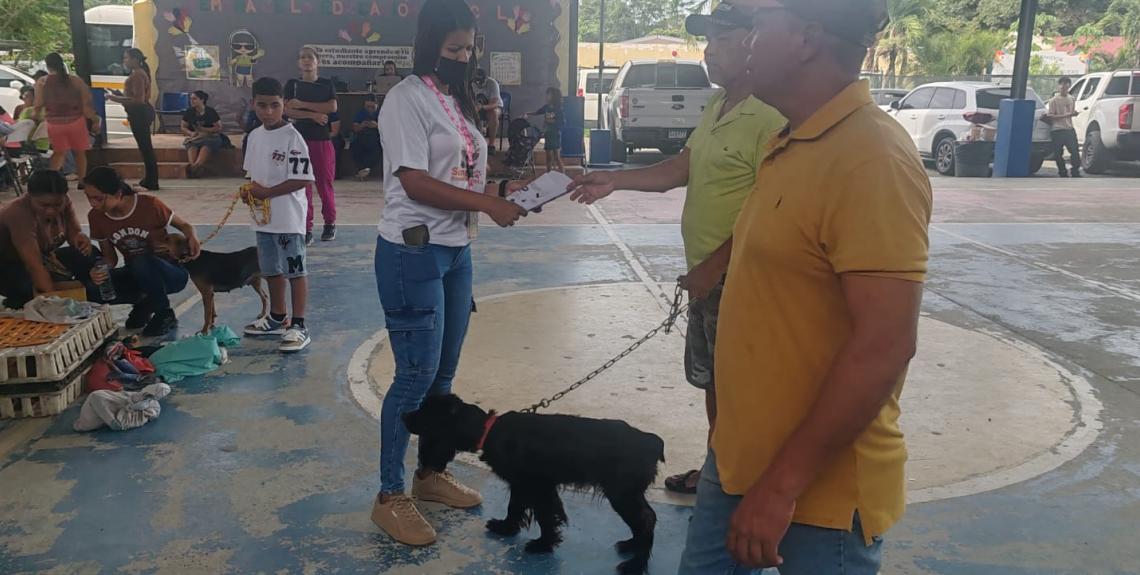 jornada de esterilización Panamá Este
