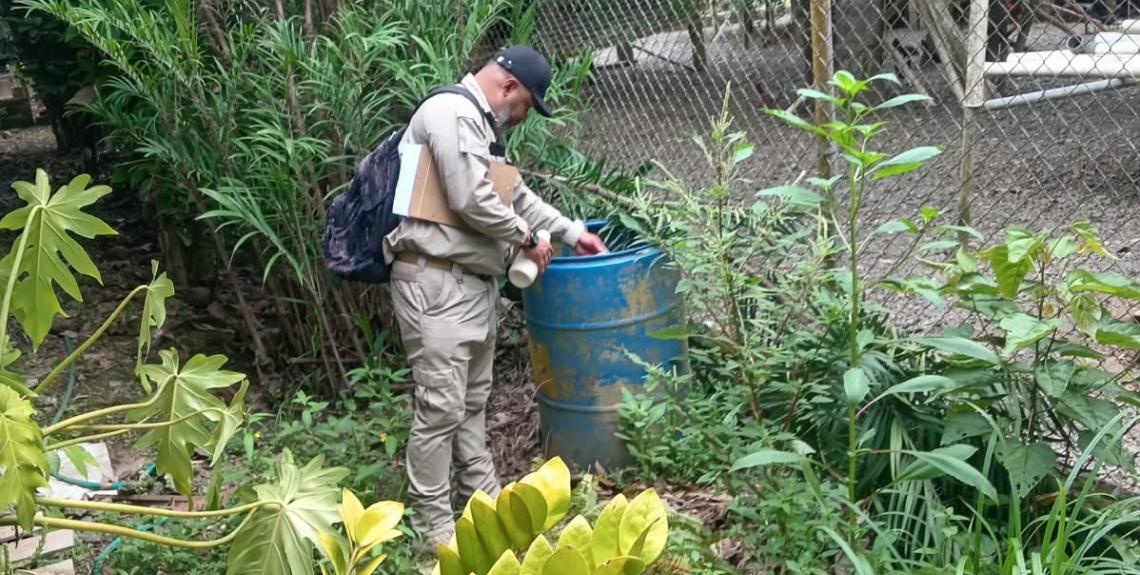 fumigación cementerio Chiriqui