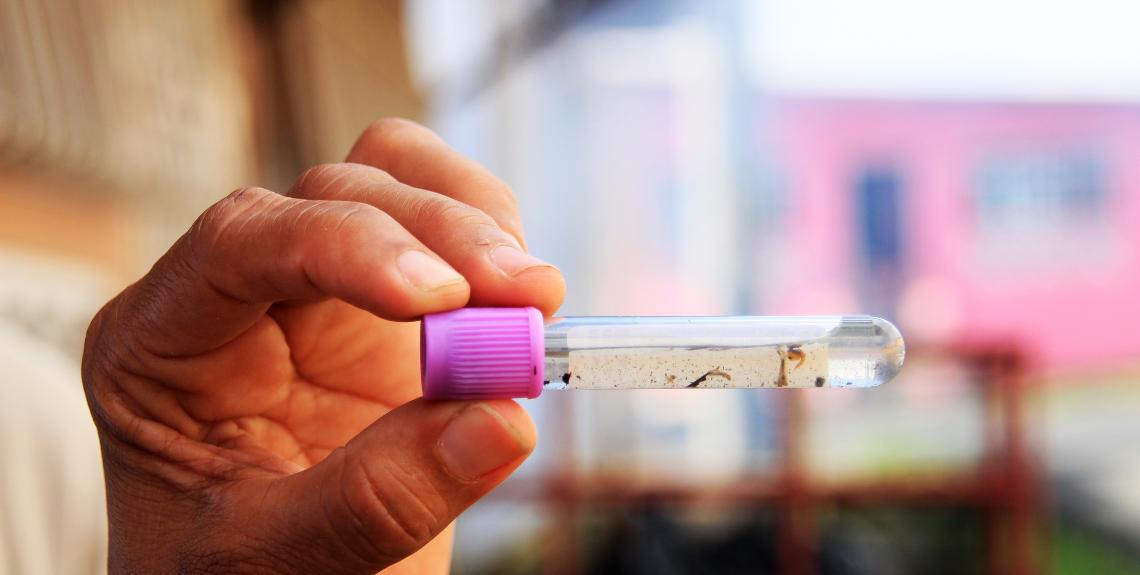 Dengue baja 20.0 % en Panamá, pero Minsa llama a no bajar la guardia