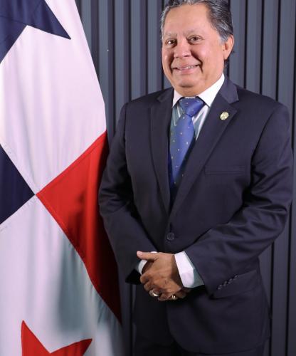 viceministro